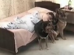 Loira trepando com dois cachorros vira latas