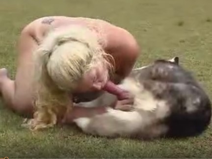 Mulher chupando o pau do cachorro