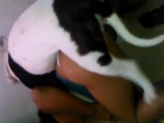 Namorado fazendo seu cachorro comer uma loira gostosinha