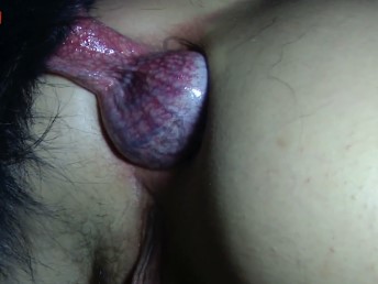 Cachorro fode a bunda da mulher e goza dentro do cuzinho dela